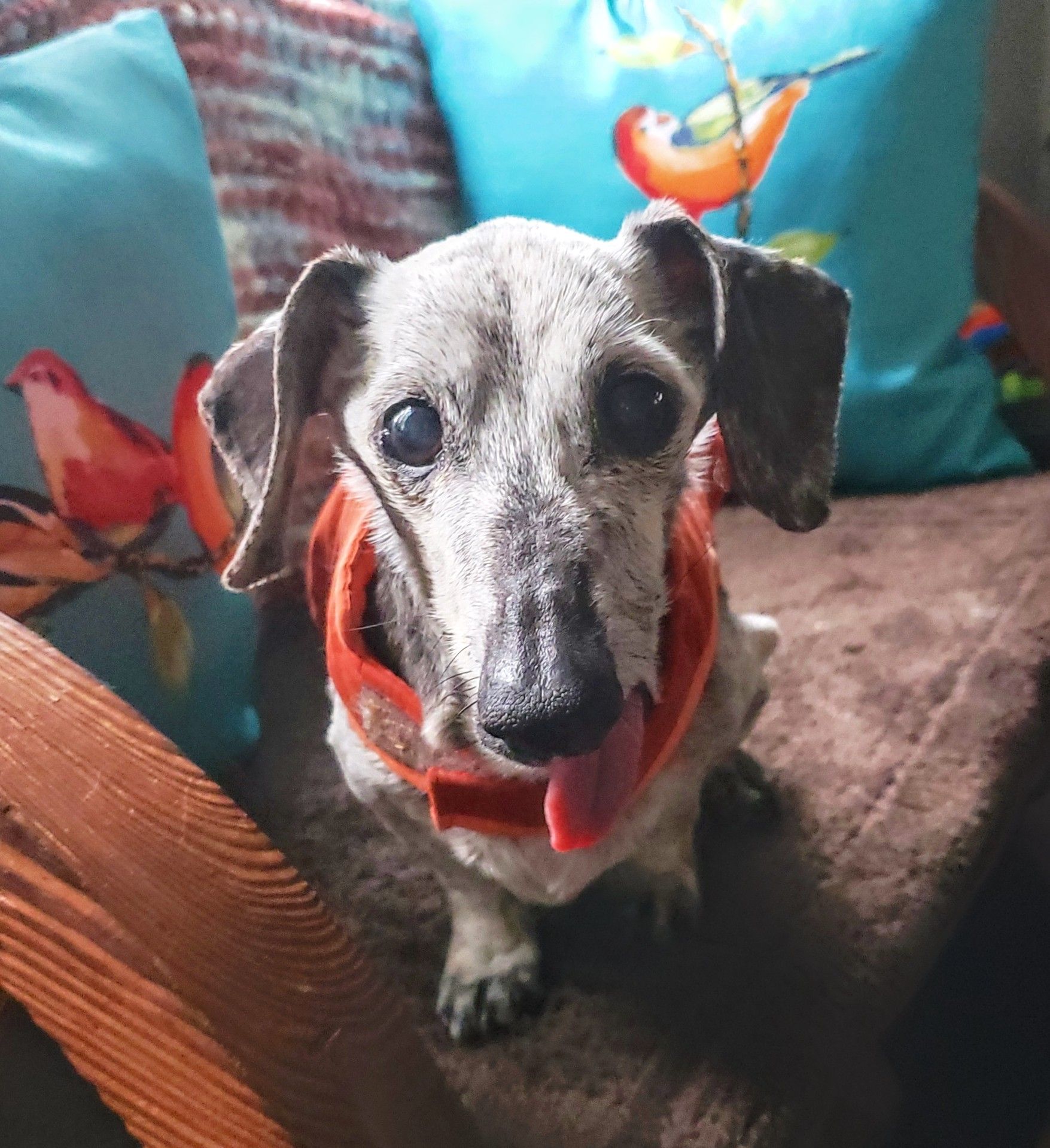 Angels For Sara Sanctuary