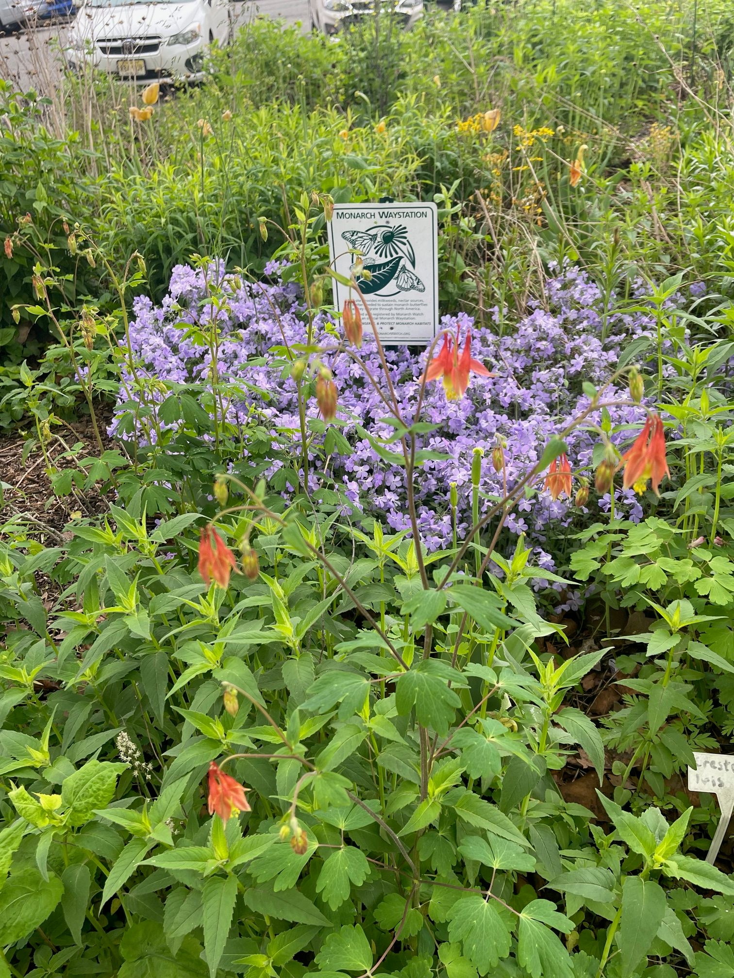 Northeast Earth Coalition, Inc.