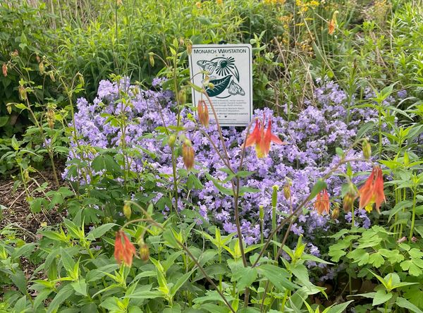 Northeast Earth Coalition, Inc.