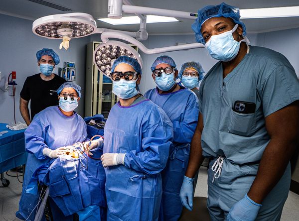 Thousand Smiles Foundation