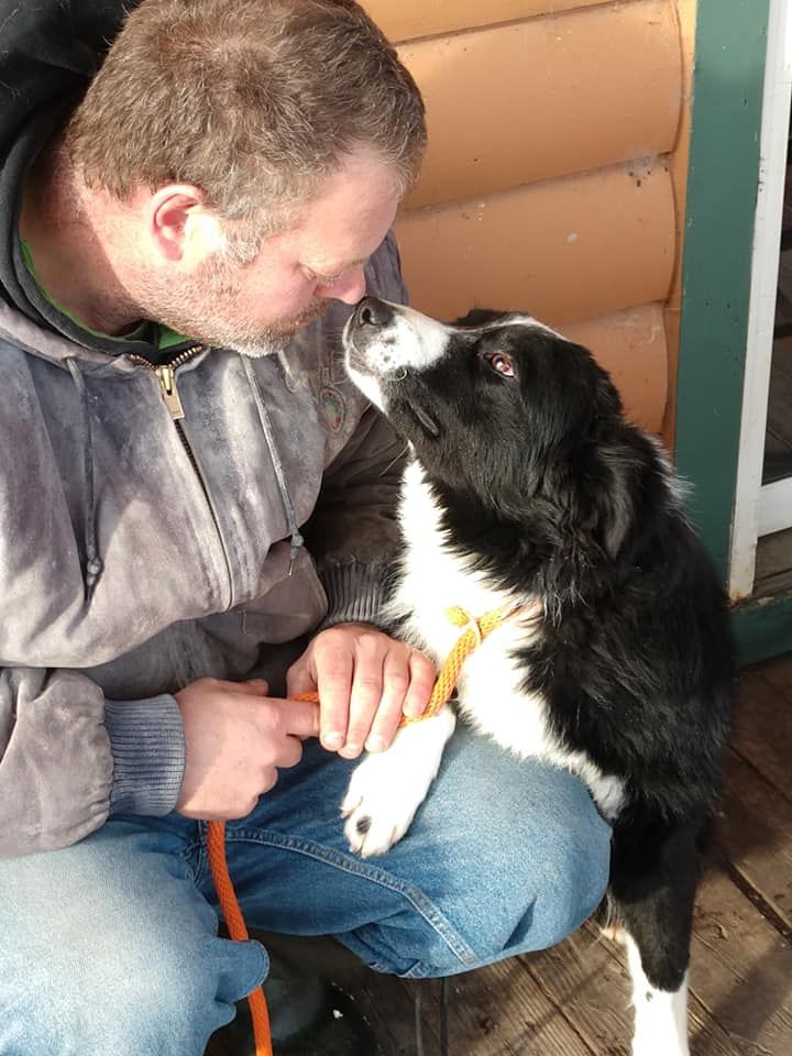 Northwest Minnesota Aussie Rescue