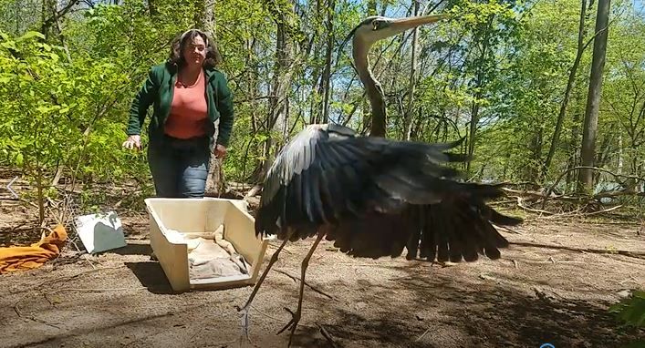 Three Rivers Avian Center, Inc.