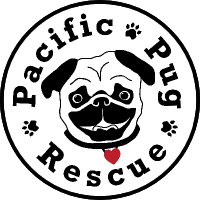 Pacific Pug Rescue
