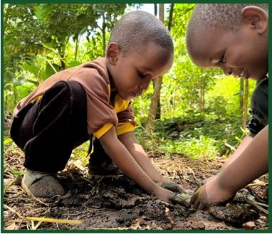 International Peace Initiatives