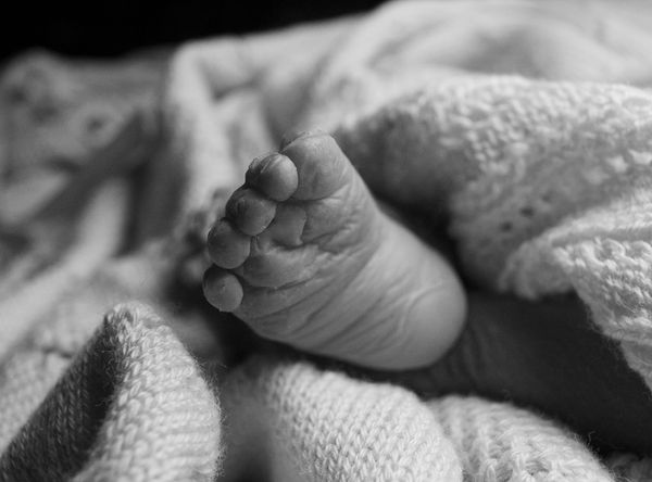 Cradling Memories - The Milo James Coe Foundation