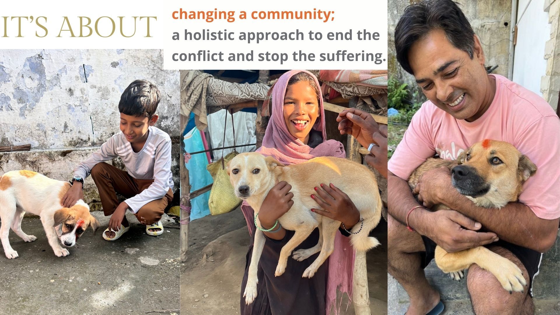 Dharamsala Animal Rescue