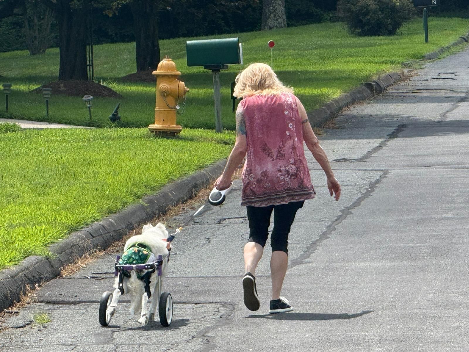 Last Animals Foundation