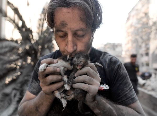 Last Animals Foundation