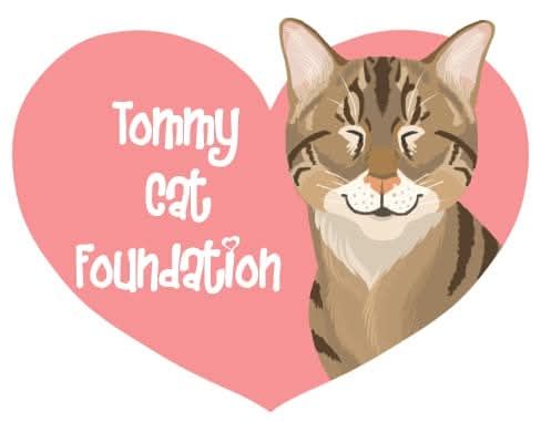 Tommy Cat Foundation