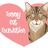 Tommy Cat Foundation