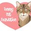 Tommy Cat Foundation