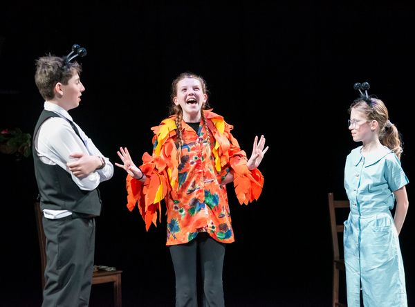 Peninsula Youth Theatre