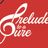 Prelude to a Cure, Inc.