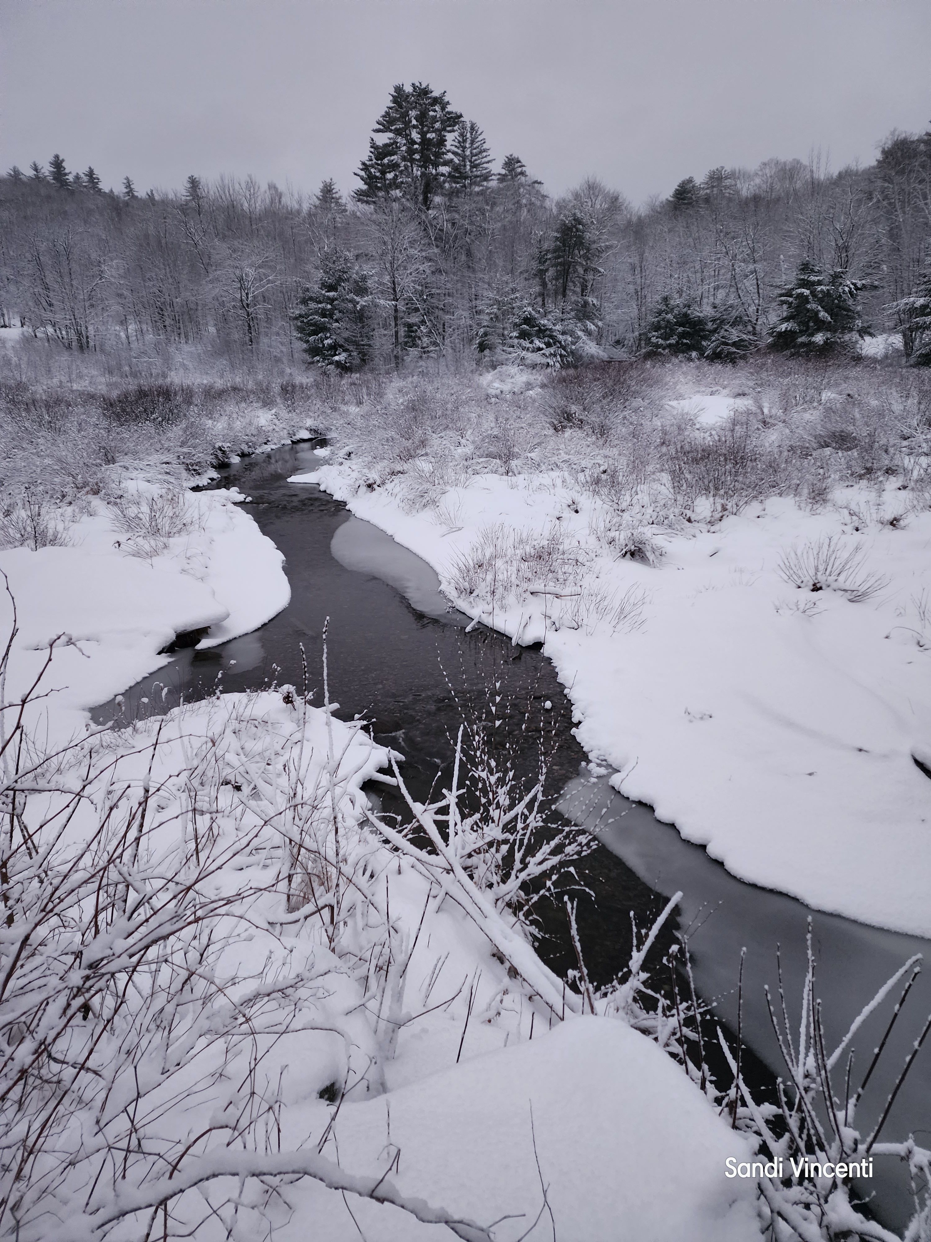 A Child's Inspiration: Discovery Garden