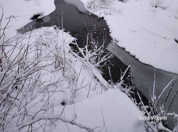 A Child's Inspiration: Discovery Garden