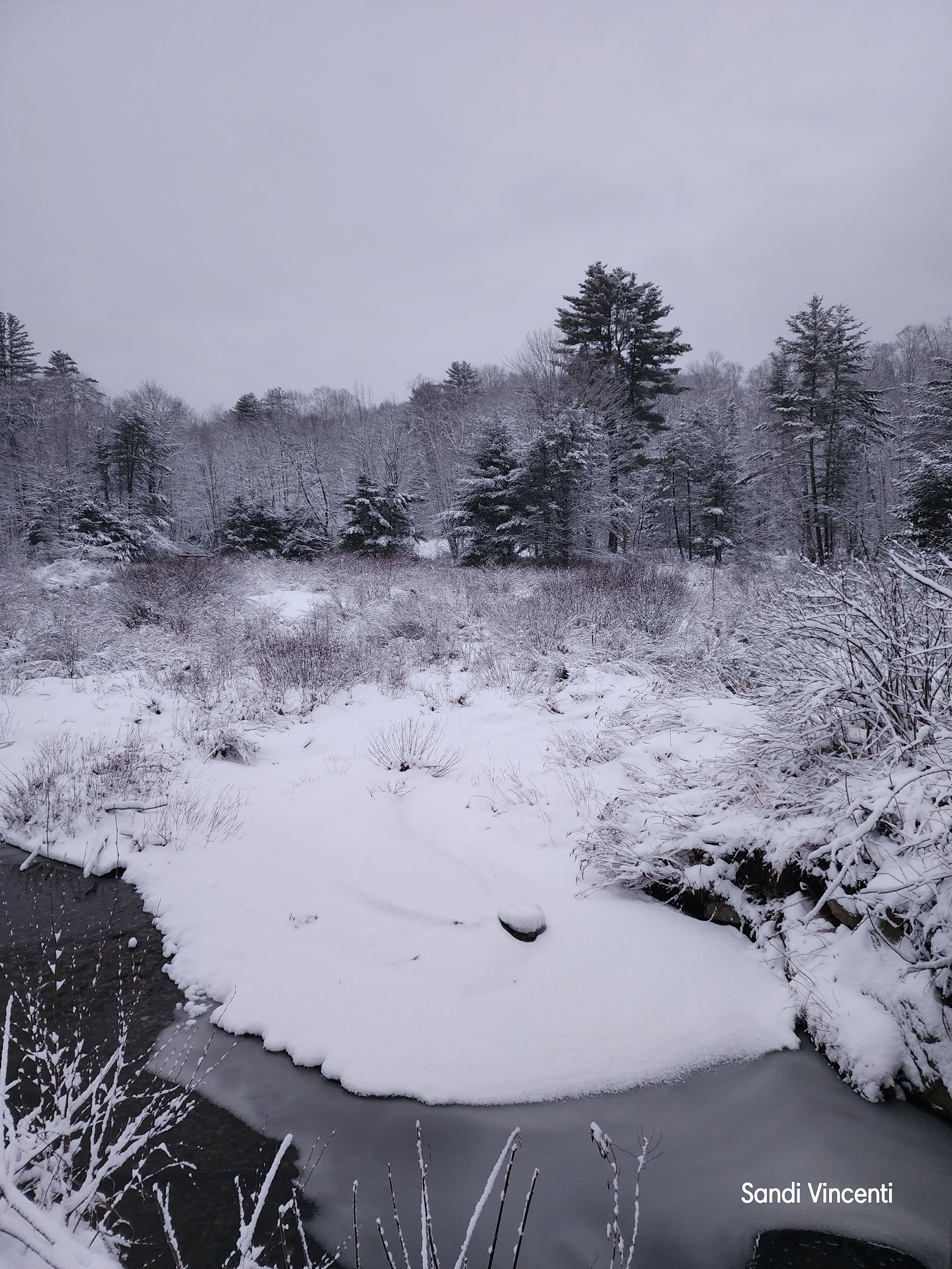 A Child's Inspiration: Discovery Garden