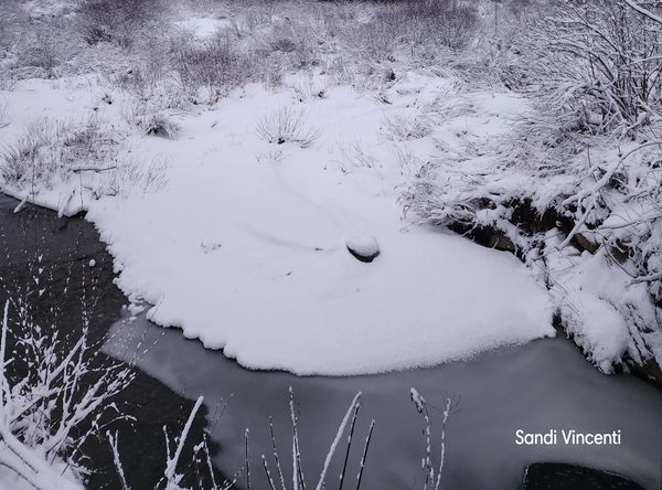 A Child's Inspiration: Discovery Garden