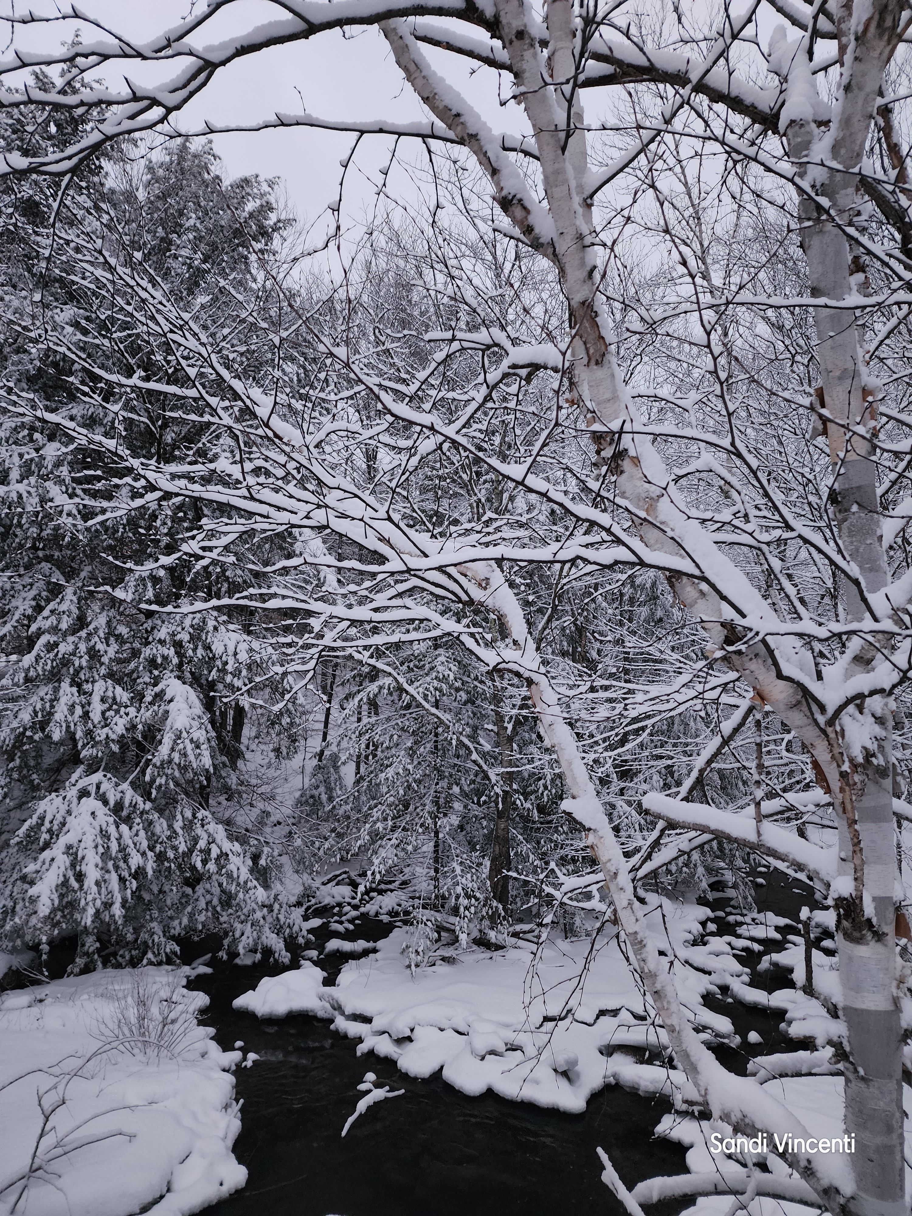 A Child's Inspiration: Discovery Garden