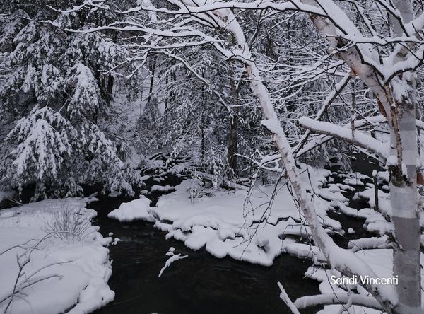 A Child's Inspiration: Discovery Garden