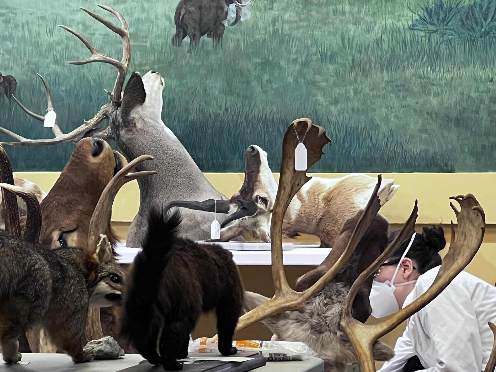 The Natural History Society of Maryland