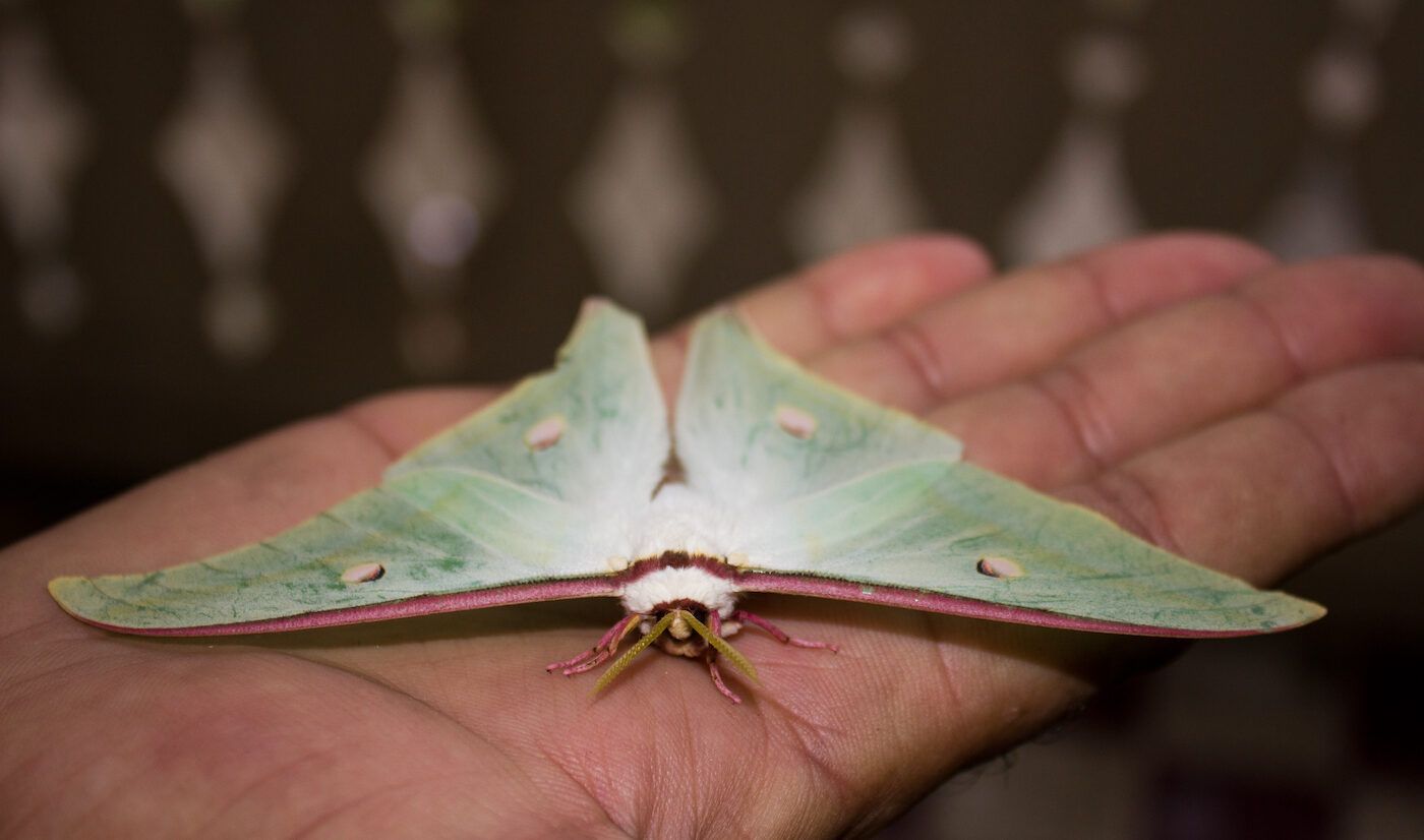 The Natural History Society of Maryland