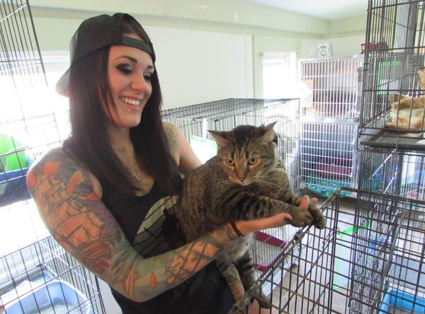 Carolina Veterinary Assistance and Adoption Group