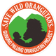Gunung Palung Orangutan Conservation Program