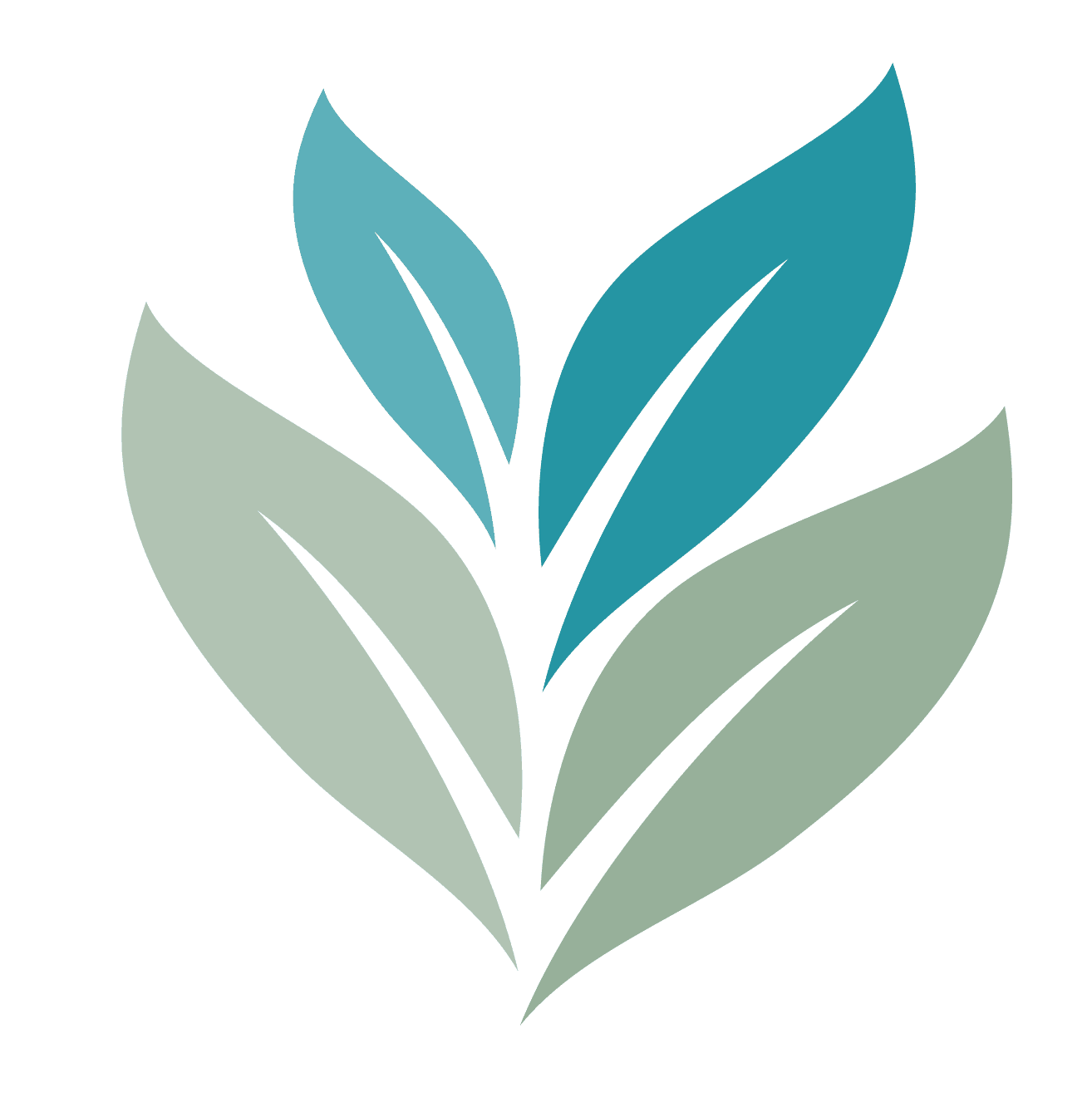 Clarity Women's Care