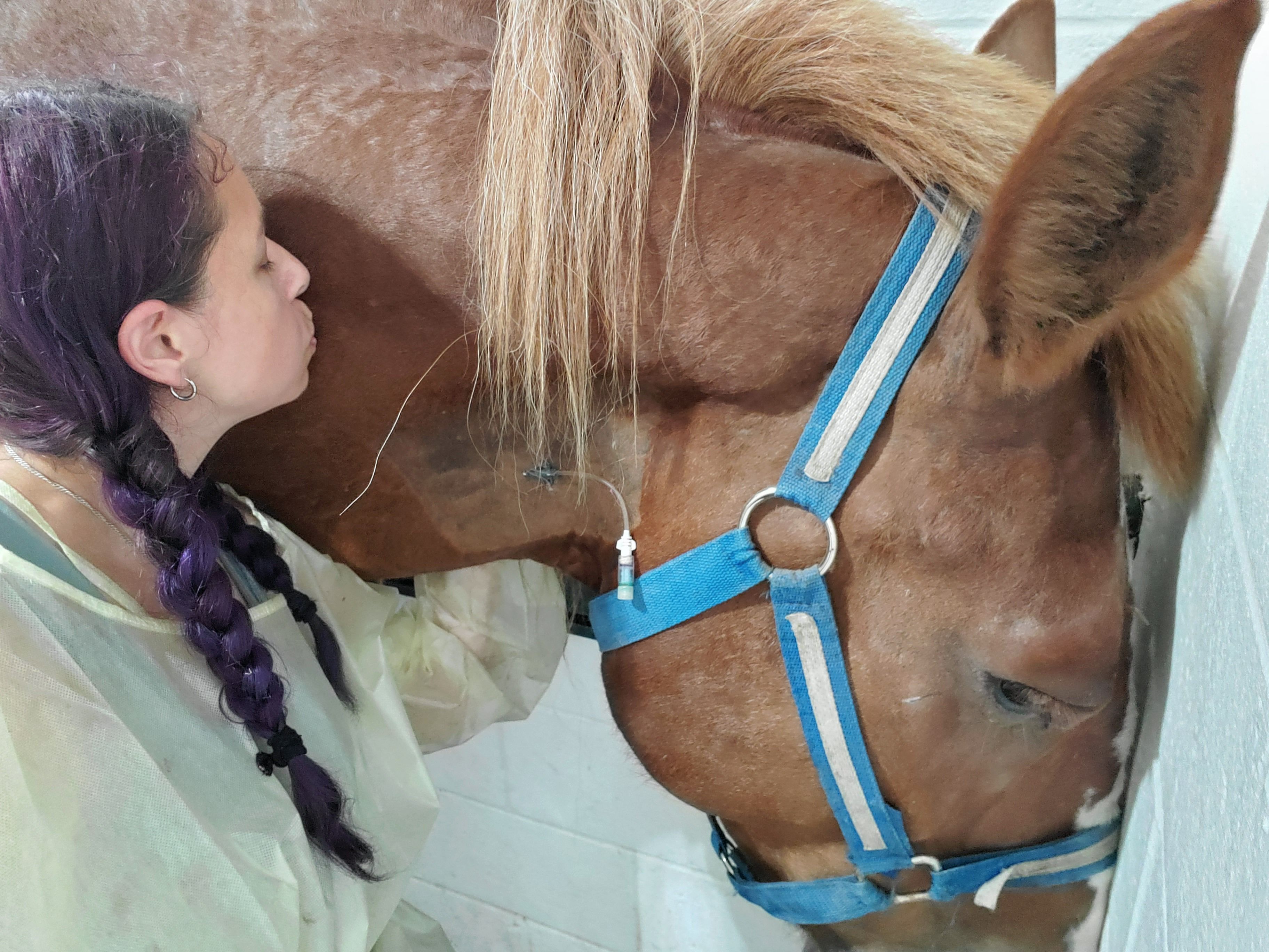 J and J Farms Animal Sanctuary Inc