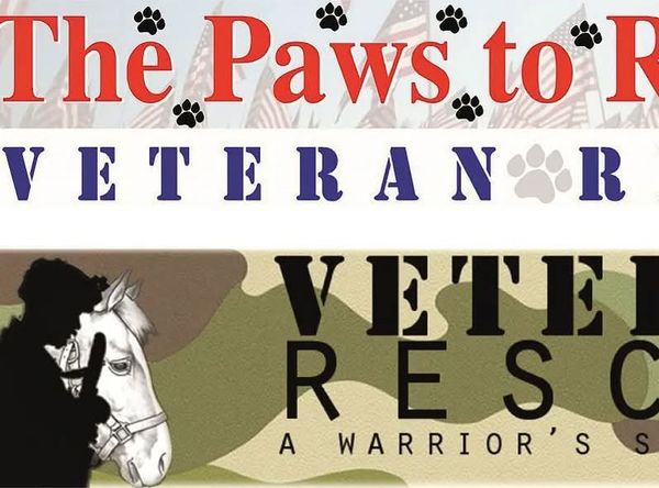 Animal Rescue & Veteran Support Services Corp
