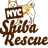 NYC Shiba Rescue, Inc.