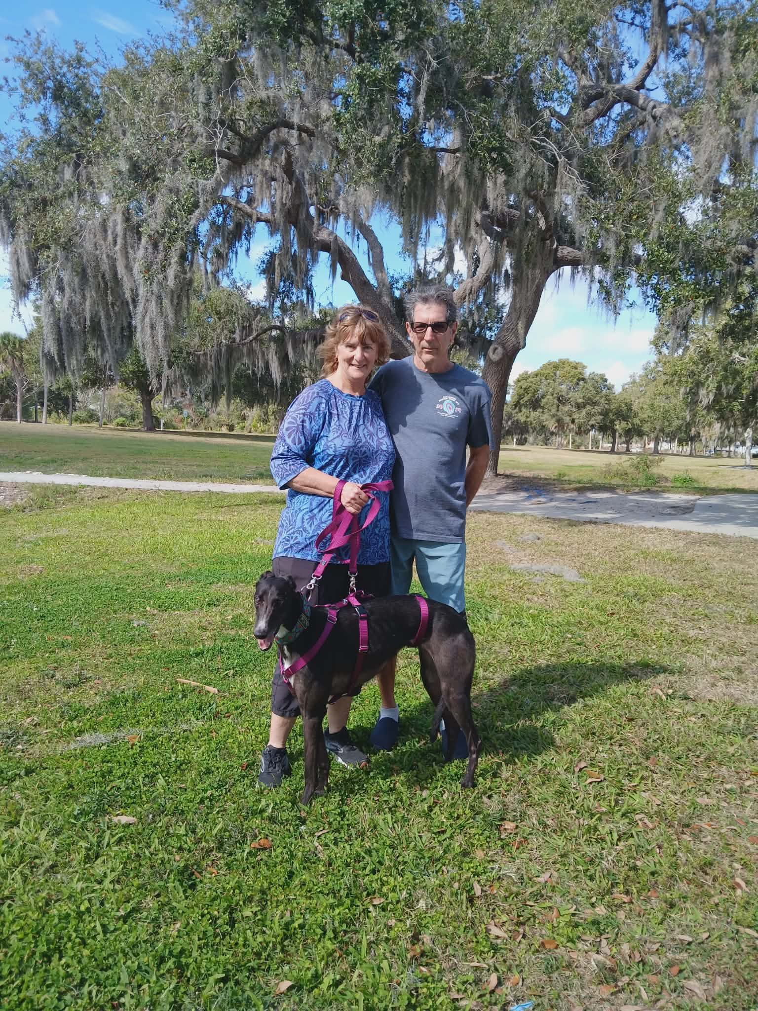 Adoptable Greythounds of Florida Inc.