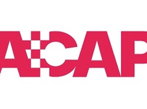 Association of Croatian American Professionals Foundation