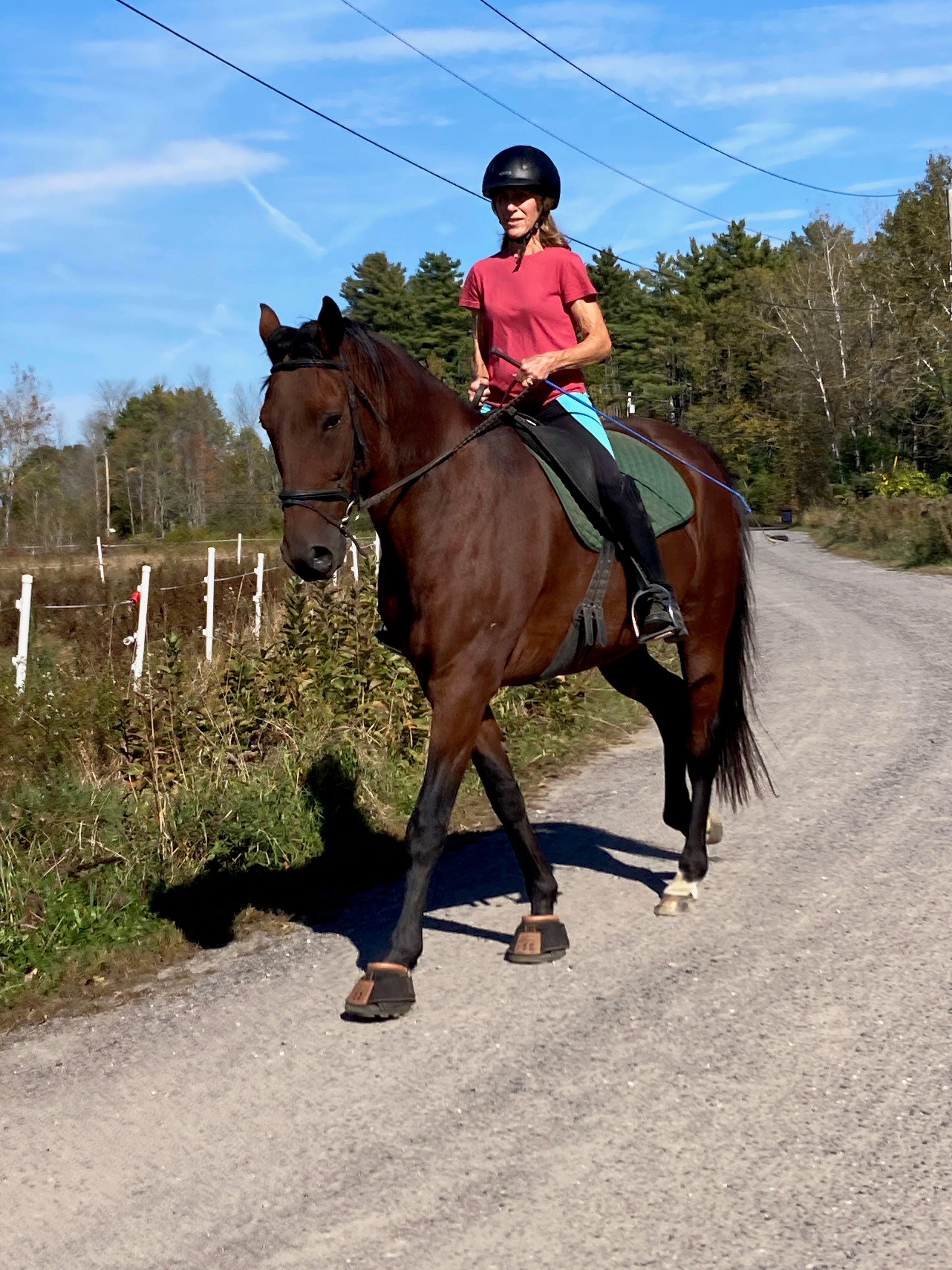 Futures For Standardbreds