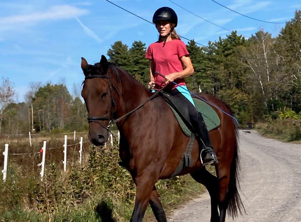 Futures For Standardbreds