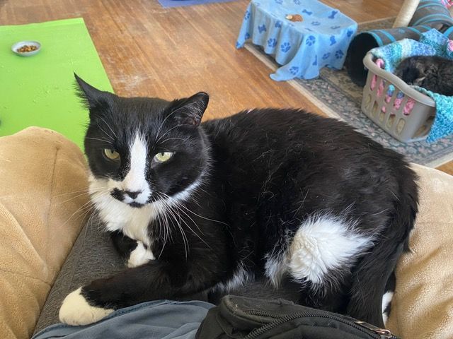 Serenity-Senior Living Pet Sanctuary