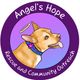Angel's Hope