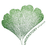 Understory Alliance