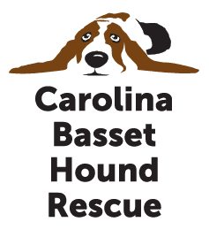 Carolina Basset Hound Rescue