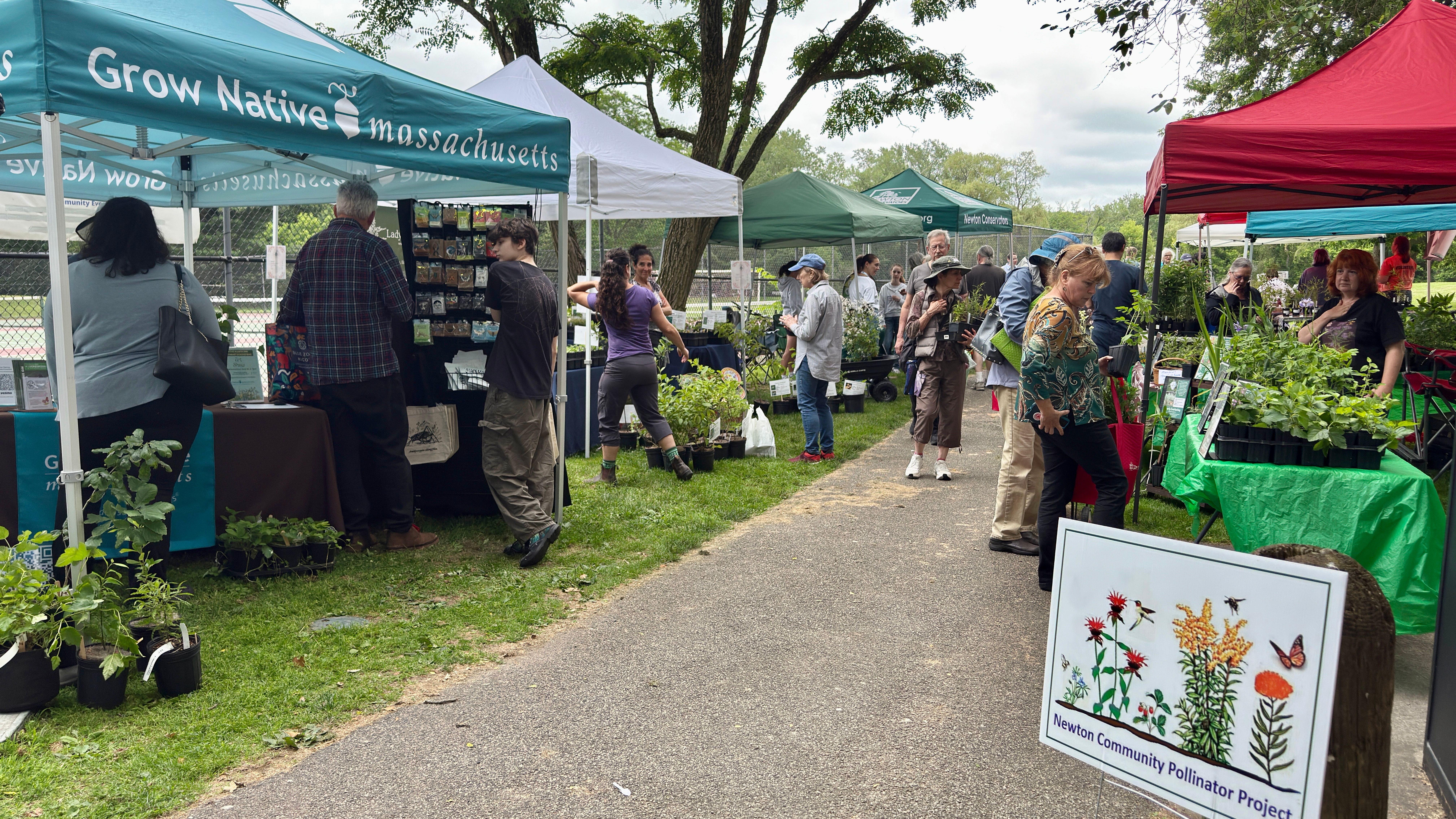 Friends of Cold Spring Park Inc