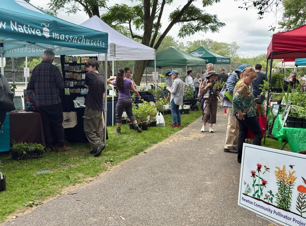 Friends of Cold Spring Park Inc