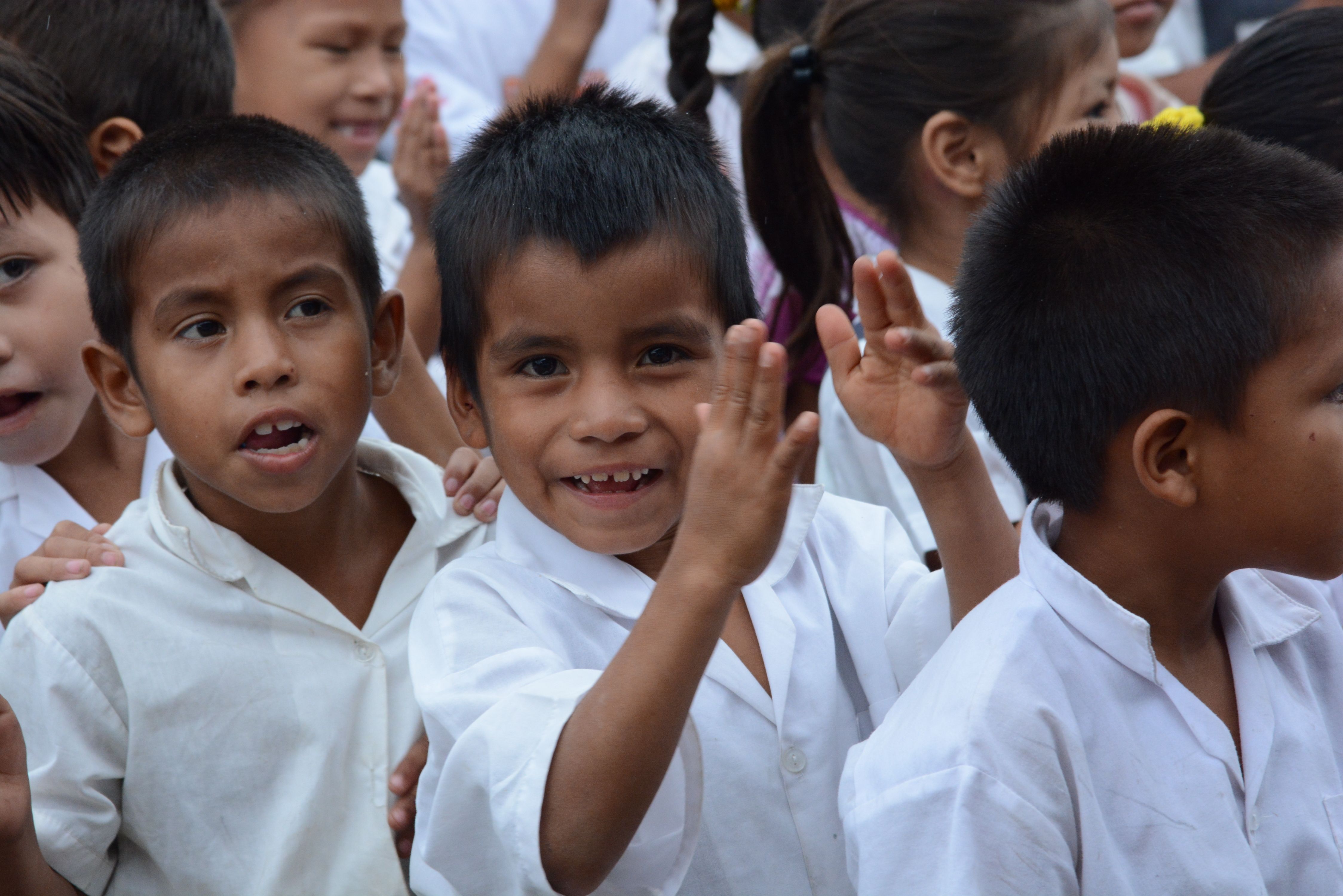 Eagle Condor Humanitarian