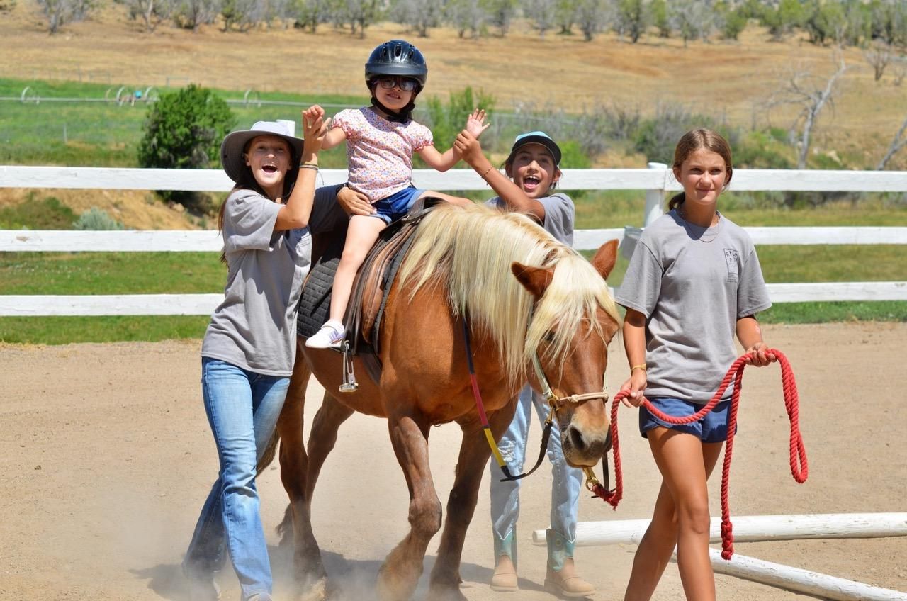 Riding Institute For Disabled Equestrians
