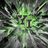 Youth Tech Inc.