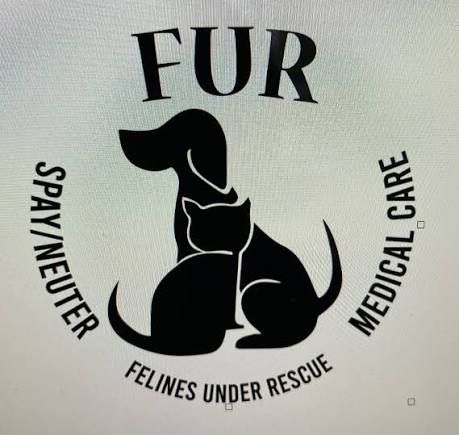 Felines Under Rescue