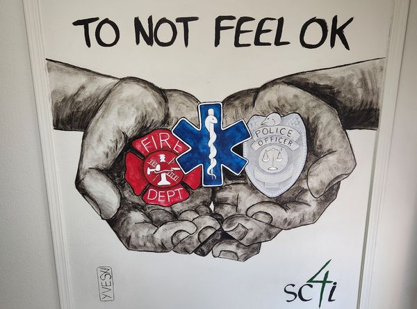 Status: Code 4, Inc. (SC4i)