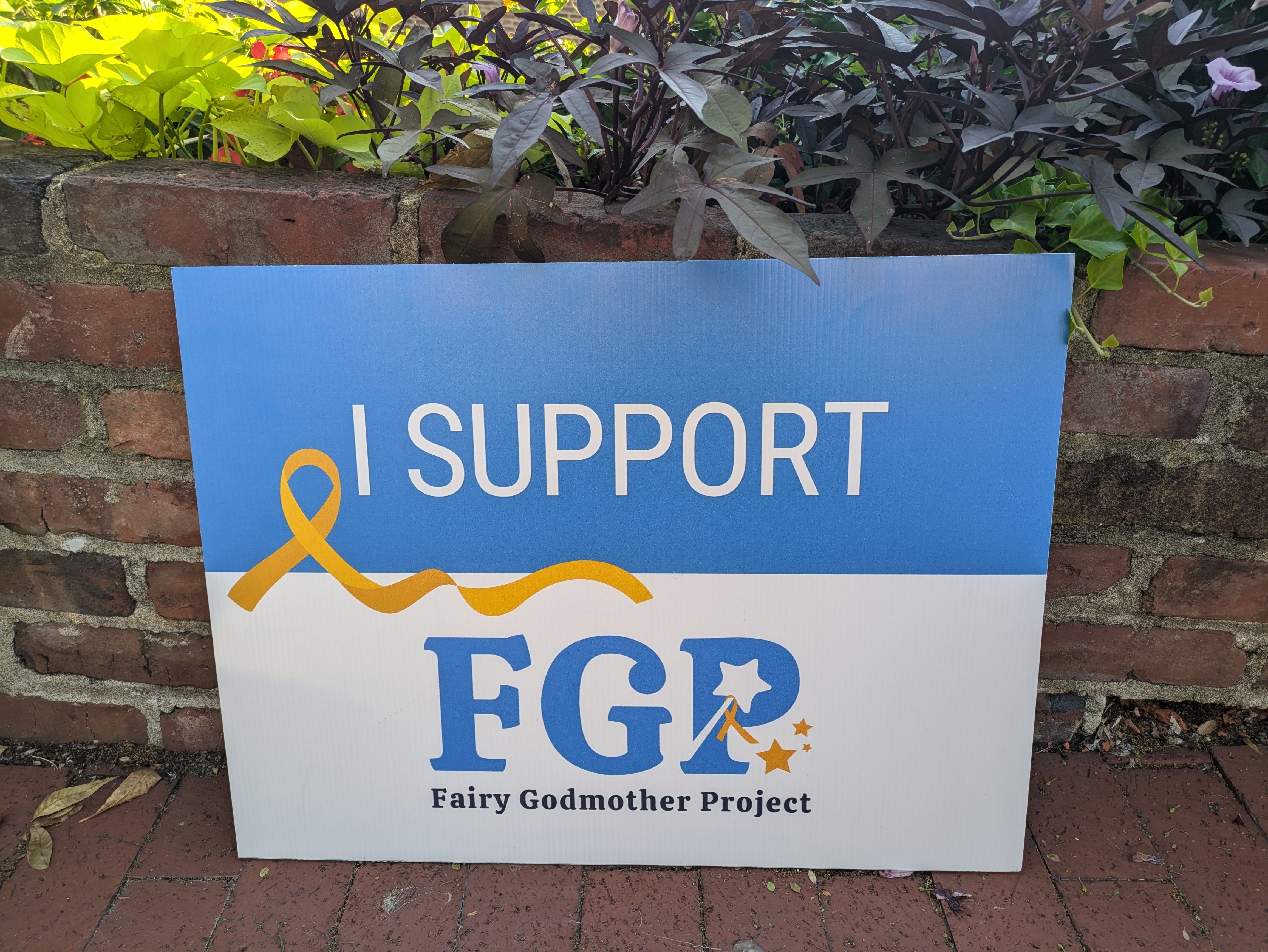 Fairy Godmother Project