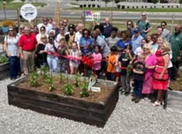 Vine Branch Fellowship