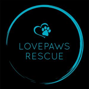 LOVEPAWS Logo