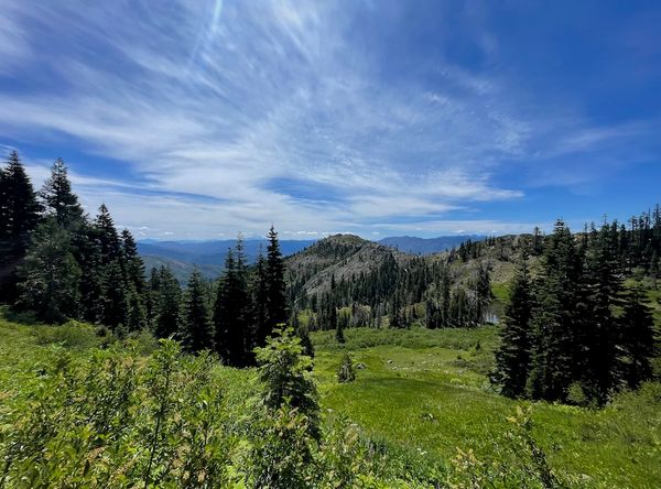Klamath-Siskiyou Wildlands Center